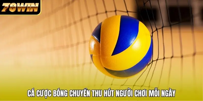 Cá cược bóng chuyền thu hút người chơi mỗi ngày Cá cược bóng chuyền thu hút người chơi mỗi ngày