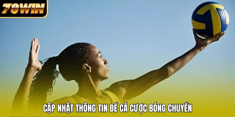 Cập nhật thông tin để cá cược bóng chuyền Cập nhật thông tin để cá cược bóng chuyền