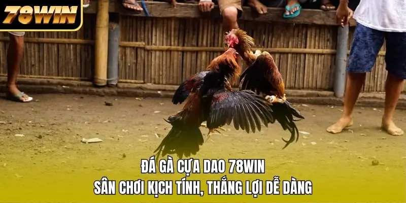 1 Đá Gà Cựa Dao 78WIN - Sân Chơi Kịch Tính, Thắng Lợi Dễ Dàng Đá Gà Cựa Dao 78WIN - Sân Chơi Kịch Tính, Thắng Lợi Dễ Dàng