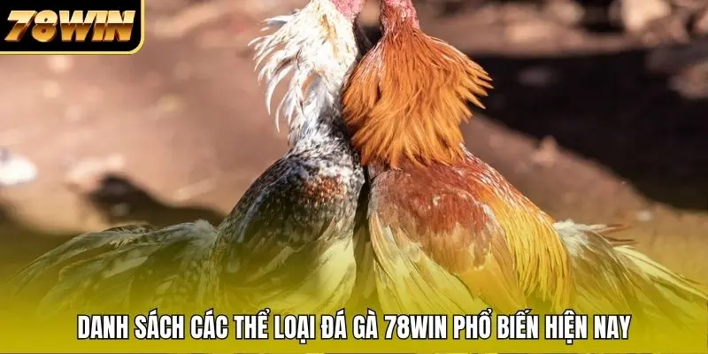 Danh sách các thể loại đá gà 78WIN phổ biến hiện nay