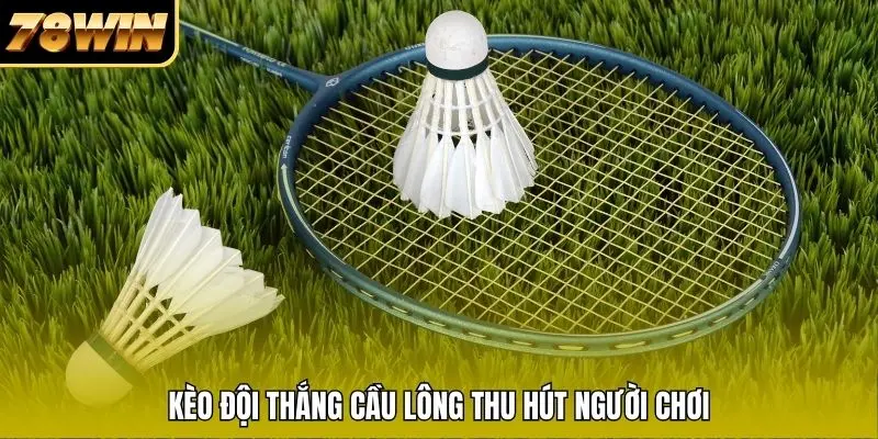 Kèo đội thắng cầu lông thu hút người chơi