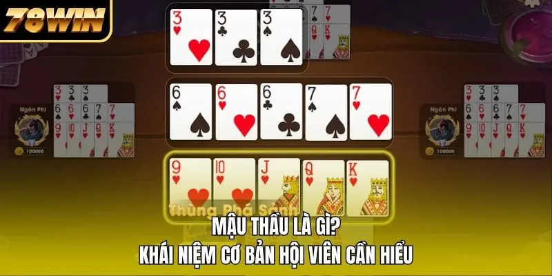 Mậu Thầu Là Gì? Khái Niệm Cơ Bản Hội Viên Cần Hiểu