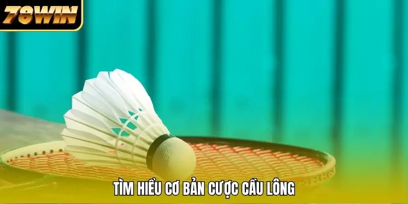 Tìm hiểu cơ bản cược cầu lông